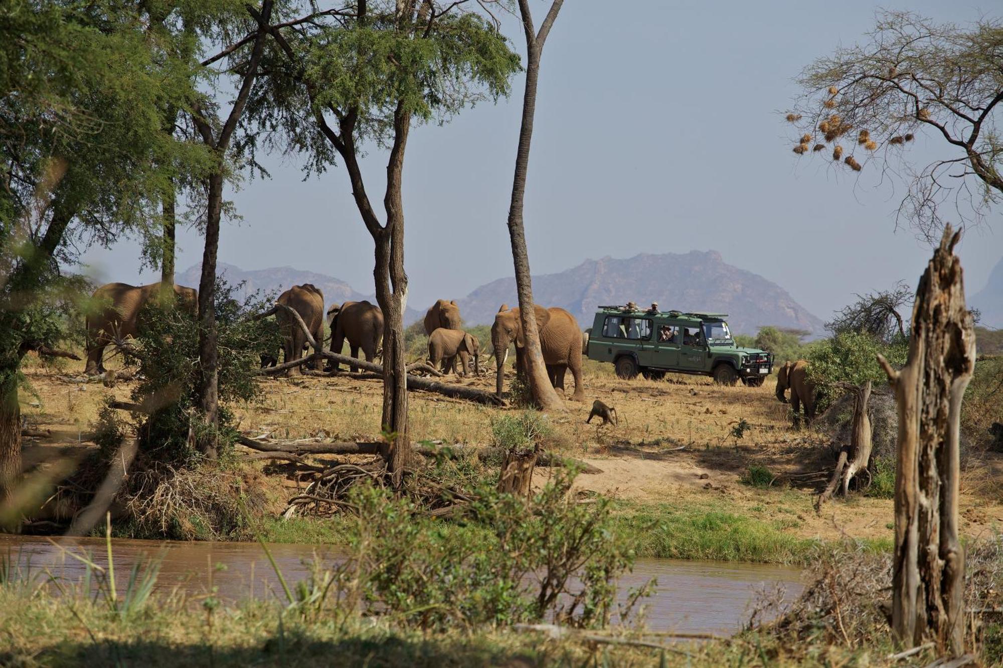 Вилла Ashnil Samburu Camp Archers Post Экстерьер фото