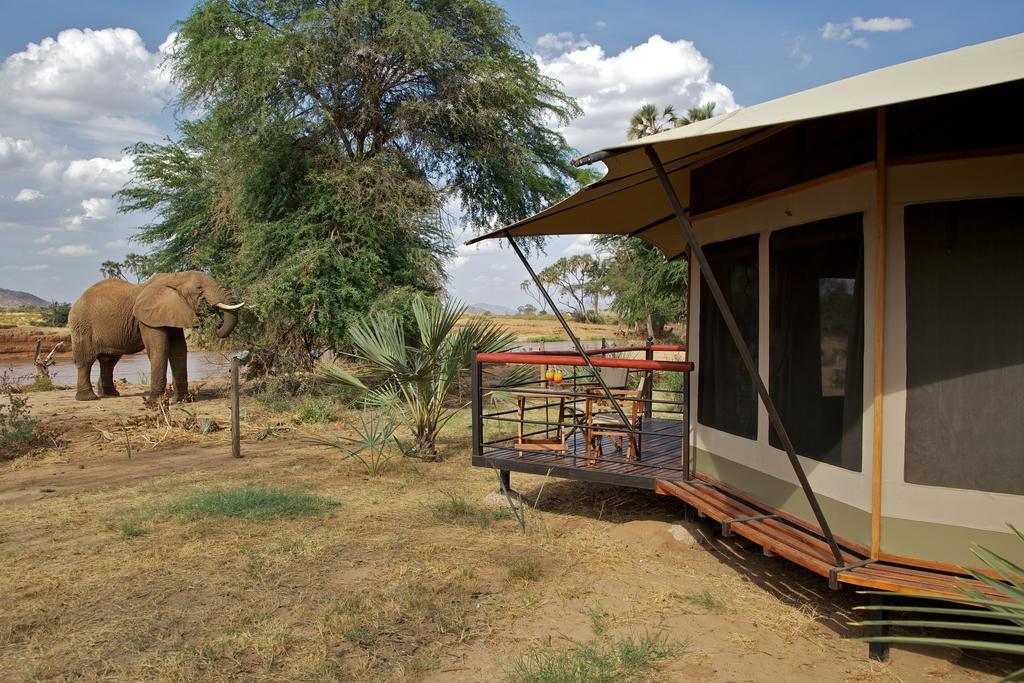 Вилла Ashnil Samburu Camp Archers Post Экстерьер фото